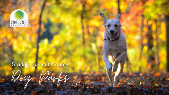 Dog-Friendly Parks - Stark & Summit Counties, OH - DeHOFF REALTORS